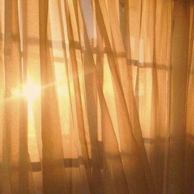 恐怖之屋瓦莱丽的复仇下载